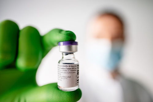 法國藥企與輝瑞合作加速新冠疫苗分裝交付，推動生物技術研發新進展