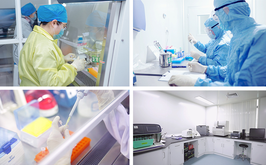 江蘇默金生物工程技術 創新驅動，引領生物技術研發前沿