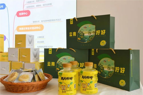 活力永勝丨麗江永勝 檸檬里的百億產(chǎn)業(yè)夢(mèng)
